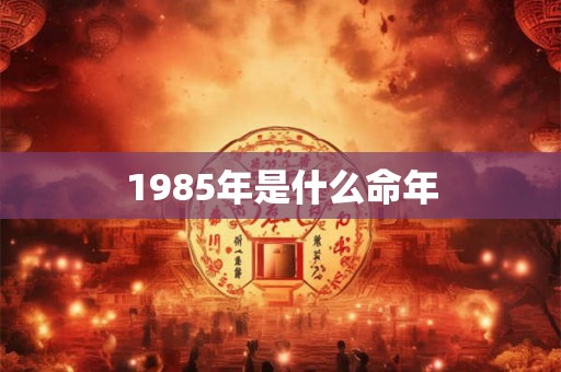 1985年是什么命年