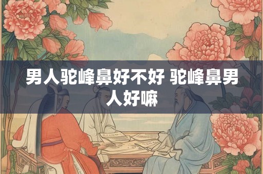 男人驼峰鼻好不好 驼峰鼻男人好嘛