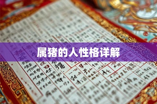 属猪的人性格详解