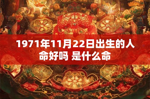 1971年11月22日出生的人命好吗 是什么命