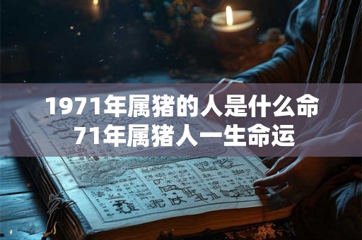 1971年属猪的人是什么命 71年属猪人一生命运
