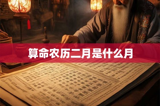 算命农历二月是什么月