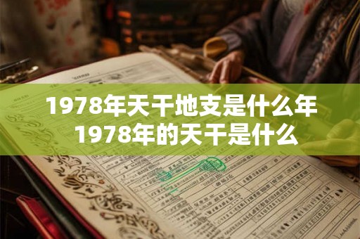 1978年天干地支是什么年  1978年的天干是什么