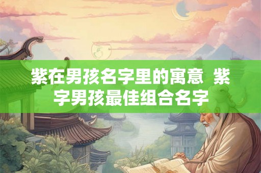 紫在男孩名字里的寓意  紫字男孩最佳组合名字