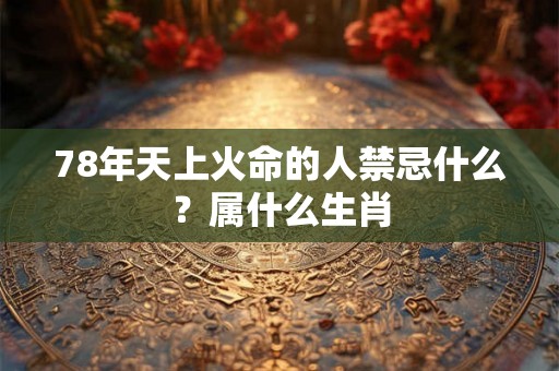 78年天上火命的人禁忌什么？属什么生肖