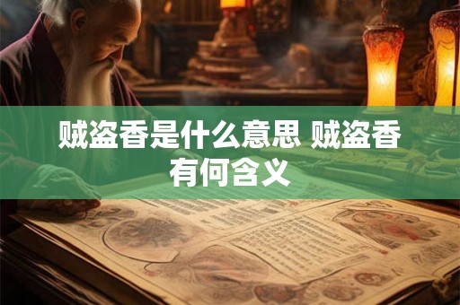 贼盗香是什么意思 贼盗香有何含义