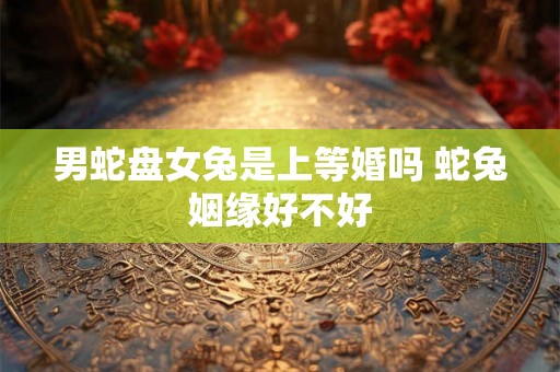 男蛇盘女兔是上等婚吗 蛇兔姻缘好不好