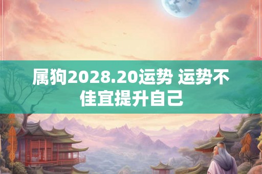 属狗2028.20运势 运势不佳宜提升自己