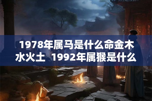 1978年属马是什么命金木水火土  1992年属猴是什么命金木水火土