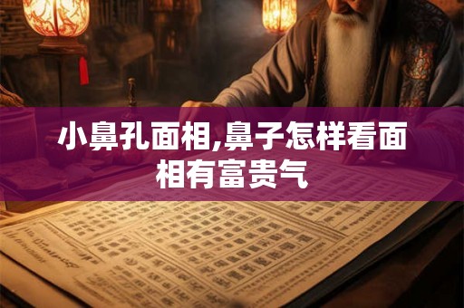 小鼻孔面相,鼻子怎样看面相有富贵气