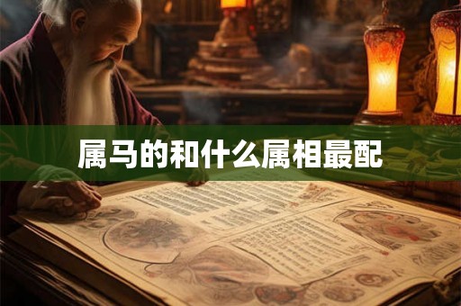 属马的和什么属相最配