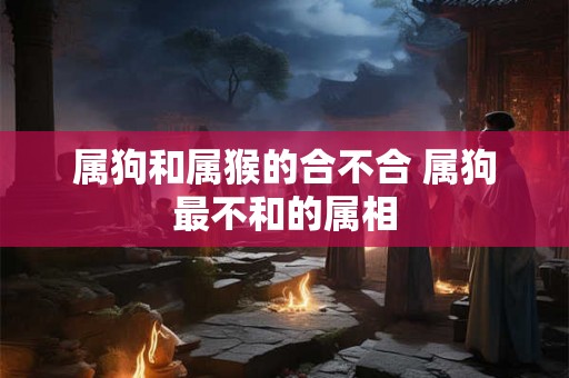 属狗和属猴的合不合 属狗最不和的属相