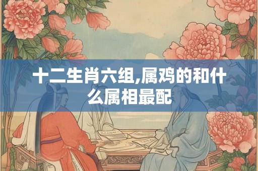 十二生肖六组,属鸡的和什么属相最配