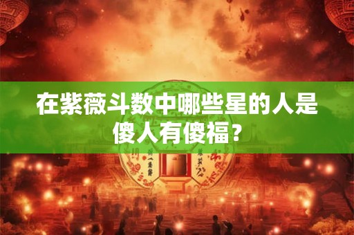 在紫薇斗数中哪些星的人是傻人有傻福？