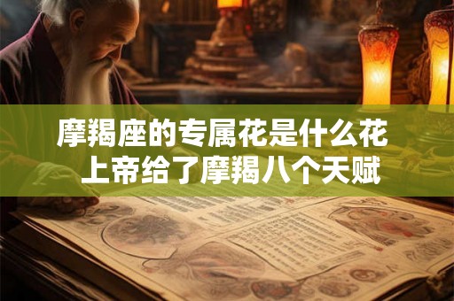 摩羯座的专属花是什么花  上帝给了摩羯八个天赋