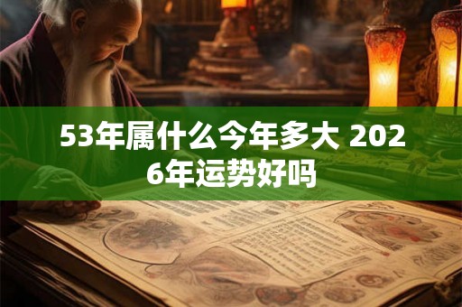 53年属什么今年多大 2026年运势好吗