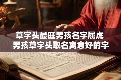 草字头最旺男孩名字属虎 男孩草字头取名寓意好的字