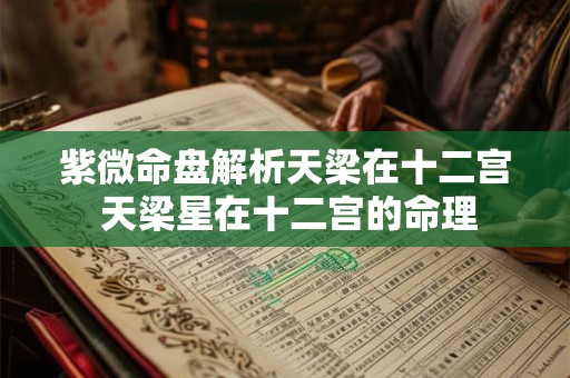紫微命盘解析天梁在十二宫 天梁星在十二宫的命理