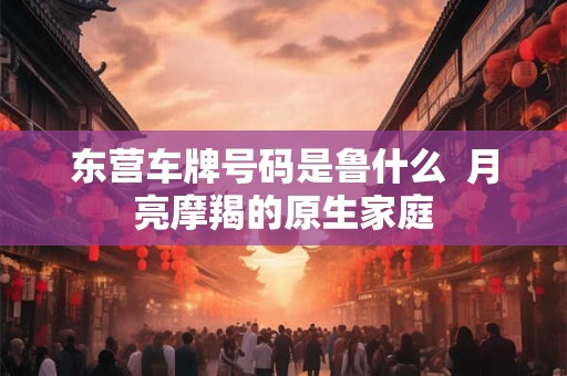 东营车牌号码是鲁什么  月亮摩羯的原生家庭