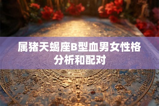 属猪天蝎座B型血男女性格分析和配对