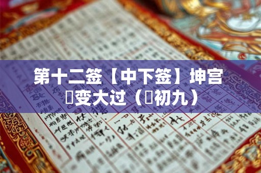 第十二签【中下签】坤宫 夬变大过（夬初九）