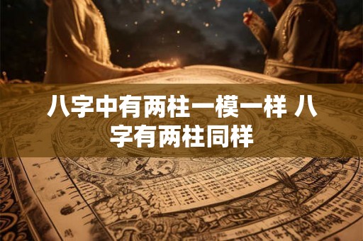 八字中有两柱一模一样 八字有两柱同样