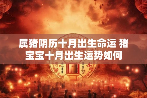 属猪阴历十月出生命运 猪宝宝十月出生运势如何