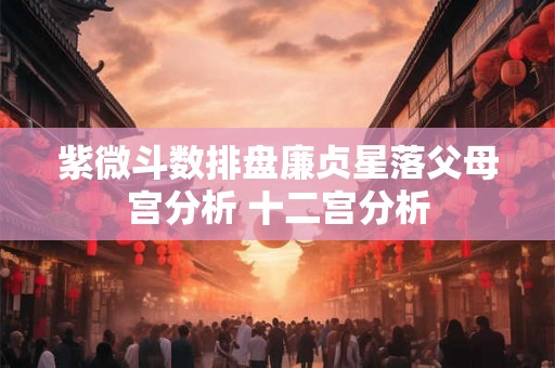 紫微斗数排盘廉贞星落父母宫分析 十二宫分析