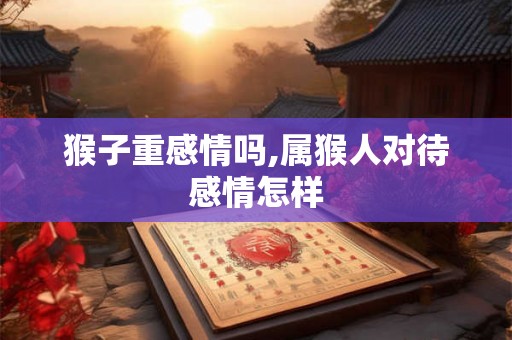 猴子重感情吗,属猴人对待感情怎样