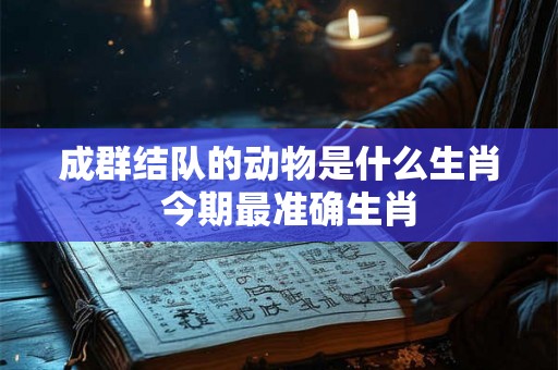 成群结队的动物是什么生肖 今期最准确生肖 成群结队的动物是什么生肖 今期最准确生肖