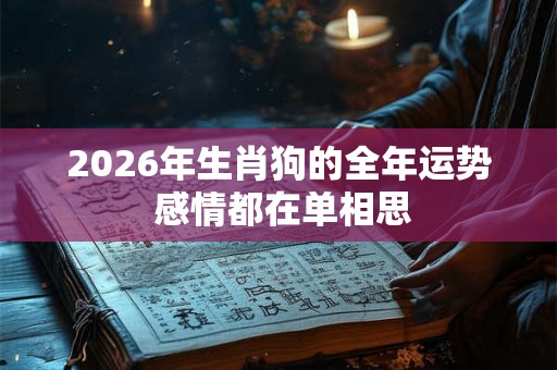 2026年生肖狗的全年运势 感情都在单相思