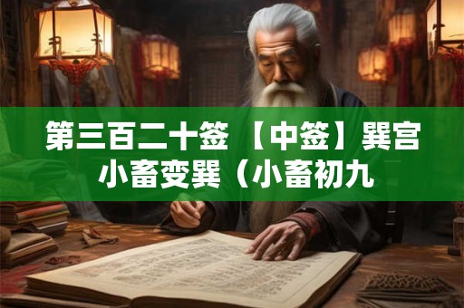 第三百二十签 【中签】巽宫 小畜变巽（小畜初九