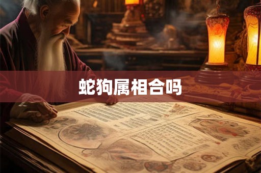 蛇狗属相合吗 蛇狗属相合吗