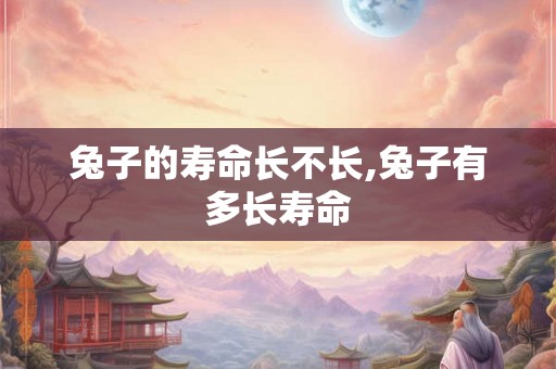 兔子的寿命长不长,兔子有多长寿命