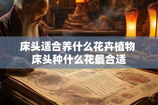 床头适合养什么花卉植物 床头种什么花最合适 床头适合养什么花卉植物 床头种什么花最合适