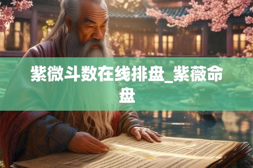 紫微斗数在线排盘_紫薇命盘