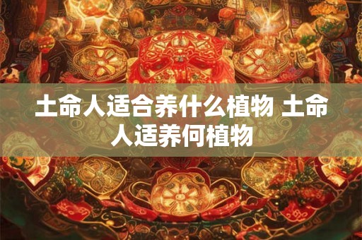 土命人适合养什么植物 土命人适养何植物
