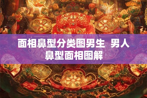 面相鼻型分类图男生  男人鼻型面相图解