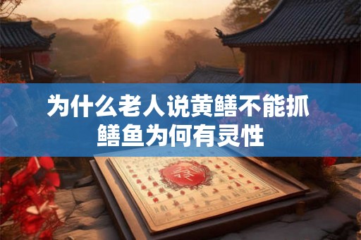 为什么老人说黄鳝不能抓 鳝鱼为何有灵性