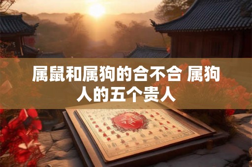 属鼠和属狗的合不合 属狗人的五个贵人