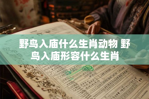 野鸟入庙什么生肖动物 野鸟入庙形容什么生肖