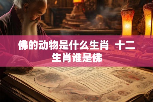 佛的动物是什么生肖  十二生肖谁是佛