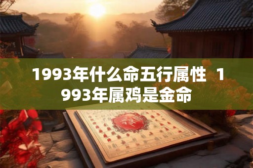 1993年什么命五行属性  1993年属鸡是金命